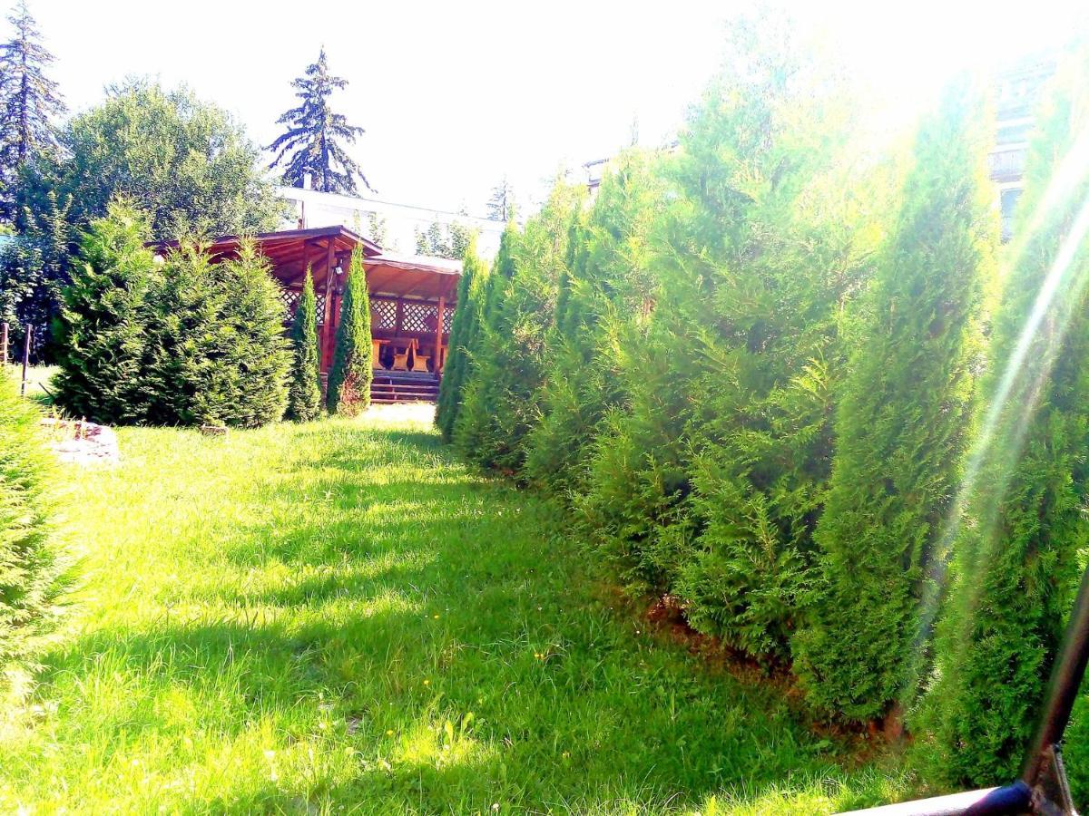 Hotel Miraj - Restaurant & Sauna & Biliard Poiana Brašov Exteriér fotografie