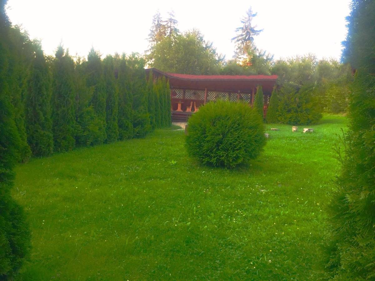 Hotel Miraj - Restaurant & Sauna & Biliard Poiana Brašov Exteriér fotografie